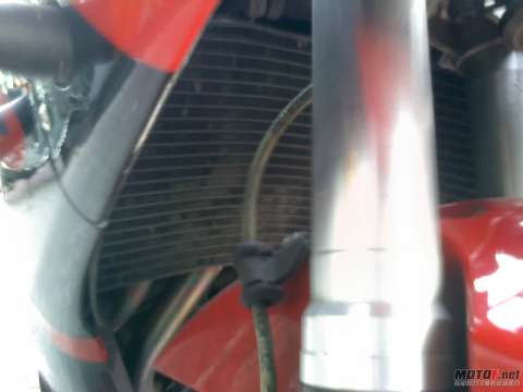 已售已售已售已售