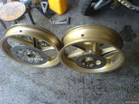 江门新会2000元卖对SP铃