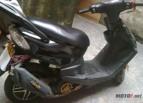 坚牌坚证56福喜