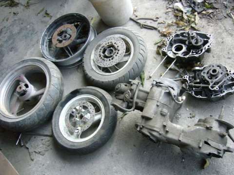 P3,3XV，小马，小鹿