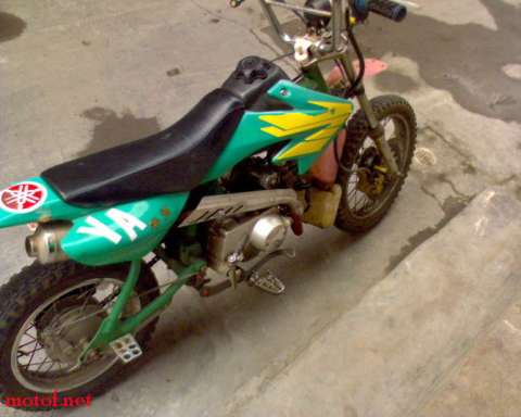 ☆广东阳江600元出售爬鸡☆