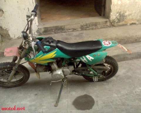 ☆广东阳江600元出售爬鸡☆