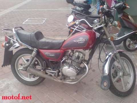 南海黄歧出售精神太子1500元(带发票)