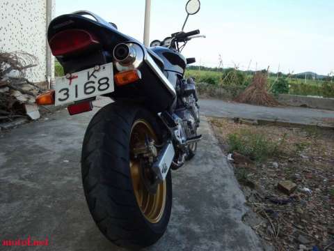 很新静的黄蜂600