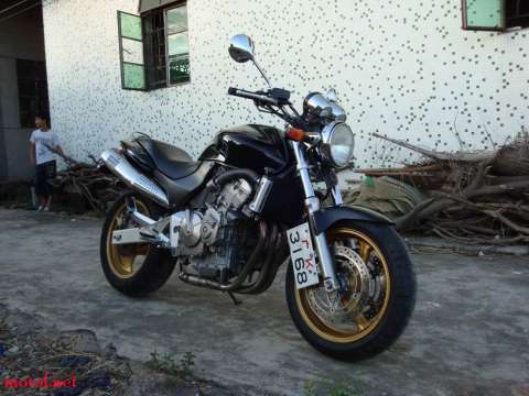 很新静的黄蜂600