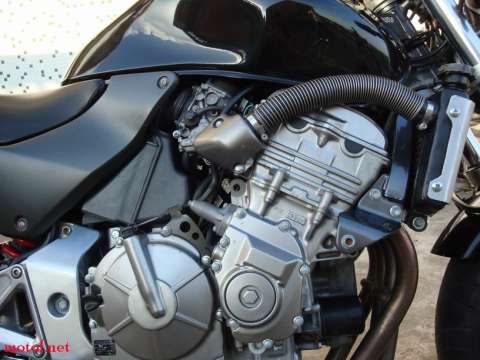 很新静的黄蜂600