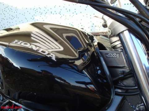 很新静的黄蜂600