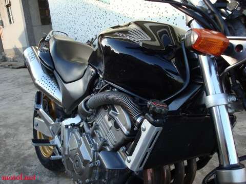 很新静的黄蜂600