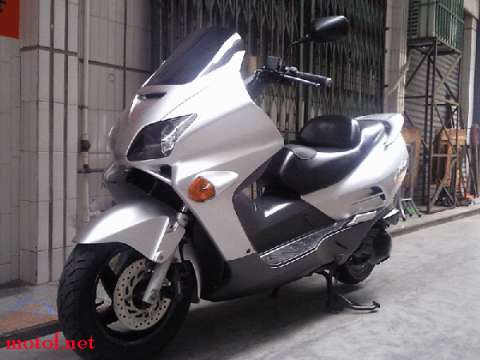 出靓仔01FORZA 还有些小东西