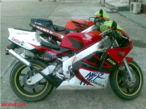 广州1万1出售精神干涩3仔(干柴烈火)