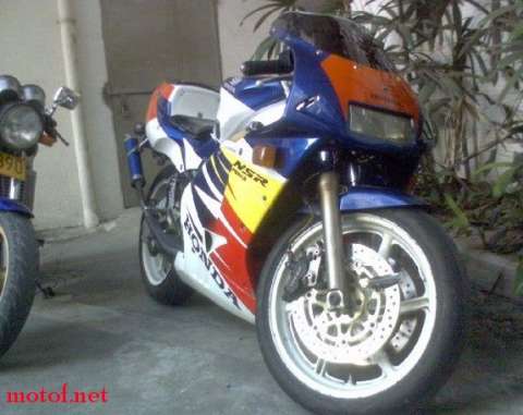 新会转让精神干3