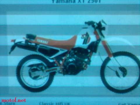 XT250