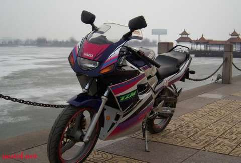 YAMAHA TZM