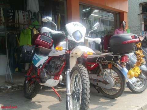 （白菜）爬鸡·