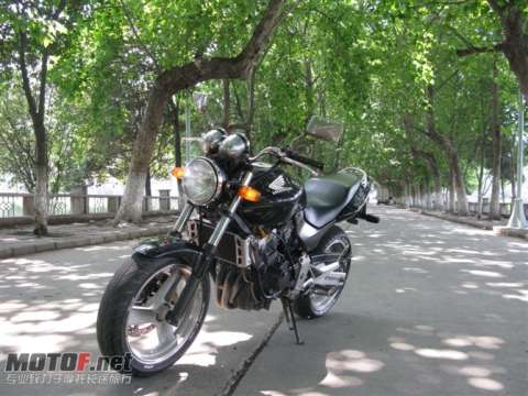 05年5月本田小黄蜂