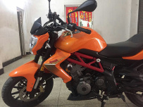 广东江门市区出售黄龙仔300跟迷你泰国ruyuka猩猩125