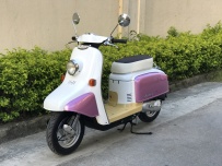 极品 本田 收藏级 二冲 火车头复古小龟JULIO50