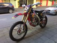 出售DL450专业扒鸡