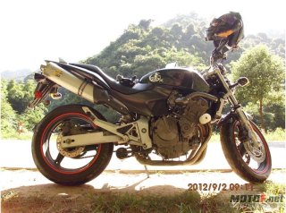 惠州出本田黄蜂600