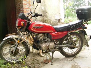 花都1388 出售经典五羊hONDA 125 一部