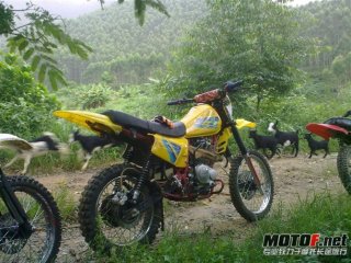 重发：江门2300出10年的白菜