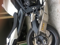 中山极品15年凯旋660小青蛙