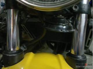 江门16000出精神小黄蜂