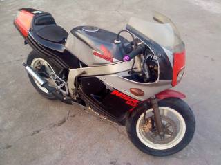 已卖已卖已卖已卖已卖