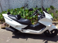 南沙出03佛沙250