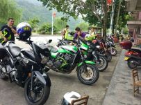 广西贺州出精神大猪头