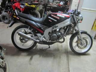 广州地区带手续出精神T仔3800大洋