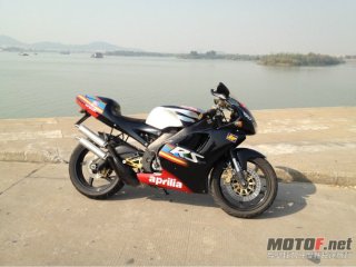 广东佛山九江出售 亚普利亚 RS250