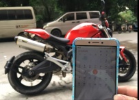 广州市白云区石井出售小怪兽696