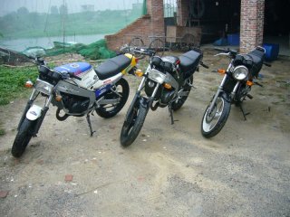 广州增城集体出售TZR（T仔）3台，价格2400-3300