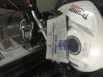 广东肇庆出台原版原漆凯旋老虎800