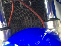 广东梅州出售NSR250 PGM3