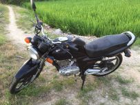 代友出售铃木EN125和太子车