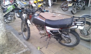 清远市代友出售93精神白菜