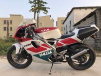 出只日本直拍3XV