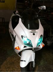 出部《本田-佛沙》250