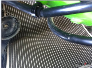 已售  谢谢绿茵直播