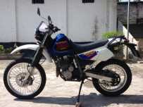 肇庆广宁代友出98年铃木大眼鸡