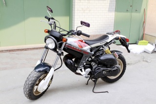 准全新铃木猴、伯乐出现、已卖