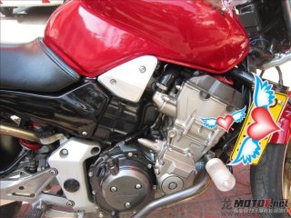 哈雷威路德 肌肉 已到 / 出 精神06 CB919 （大黄蜂 ）。