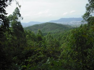 江门 代友 出售NSR250 干3(有视频)