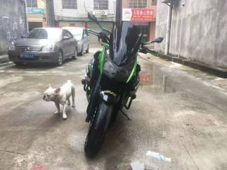 广东河源出12年Z1000