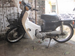 湛江2380出售本田幼兽 CUB50