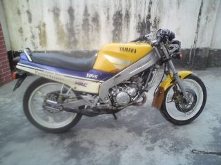 此帖早己交易,请版主删除.