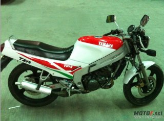 已出售···感谢绿茵直播····