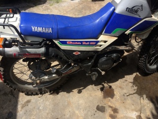 广东江门出雅马哈小鹿XT225